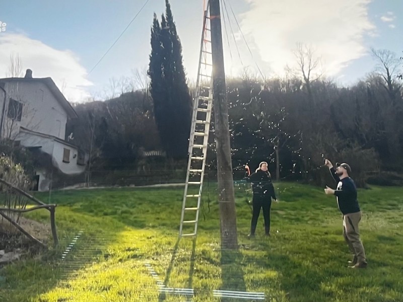 Van leedvermaak naar jaloezie