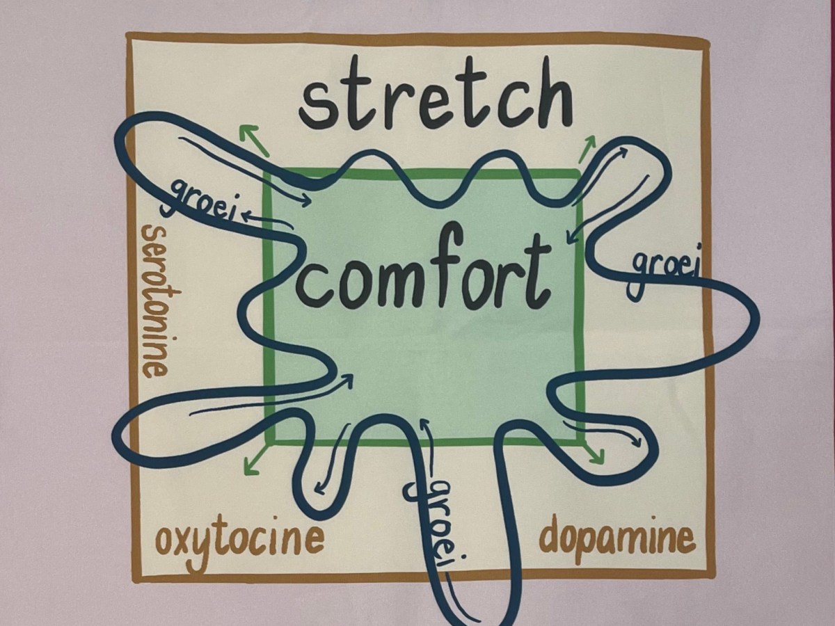 Wordt jouw comfortzone groter of kleiner?