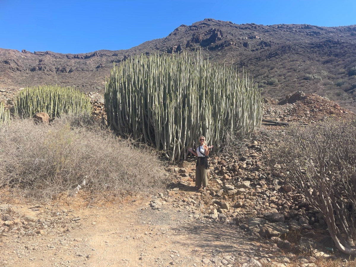 Groeien waar je geplant bent